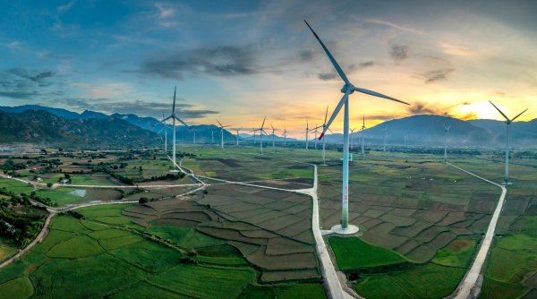 Sustainability and New Business Development